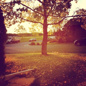Beautiful Fall morning outside my house.